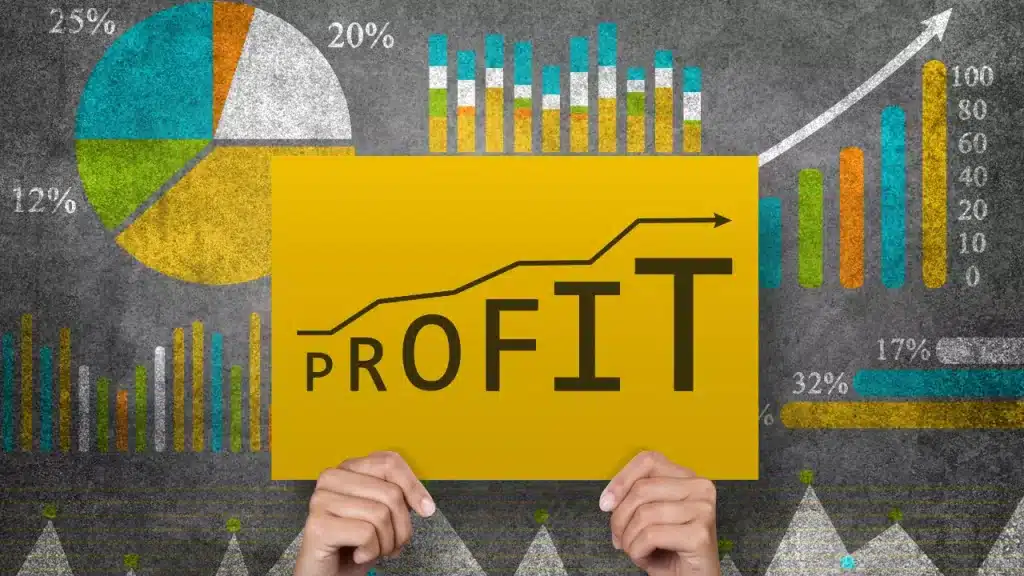 récupération assistée du pétrole - profit