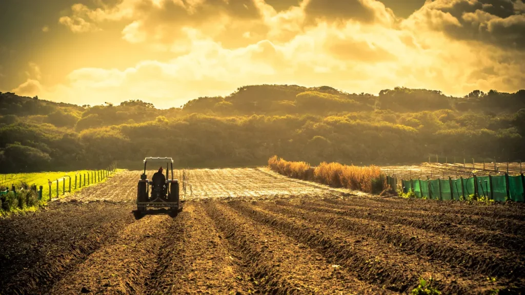 agriculture